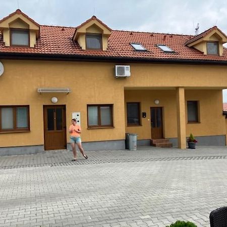 ボイニツェApartmanovy Dom Slaviaアパートメント エクステリア 写真