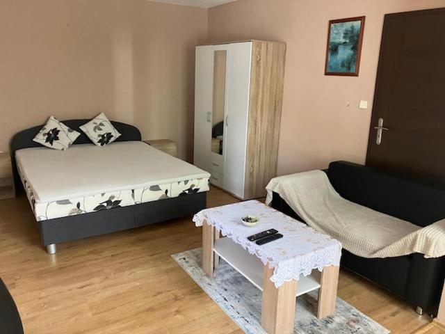ボイニツェApartmanovy Dom Slaviaアパートメント エクステリア 写真